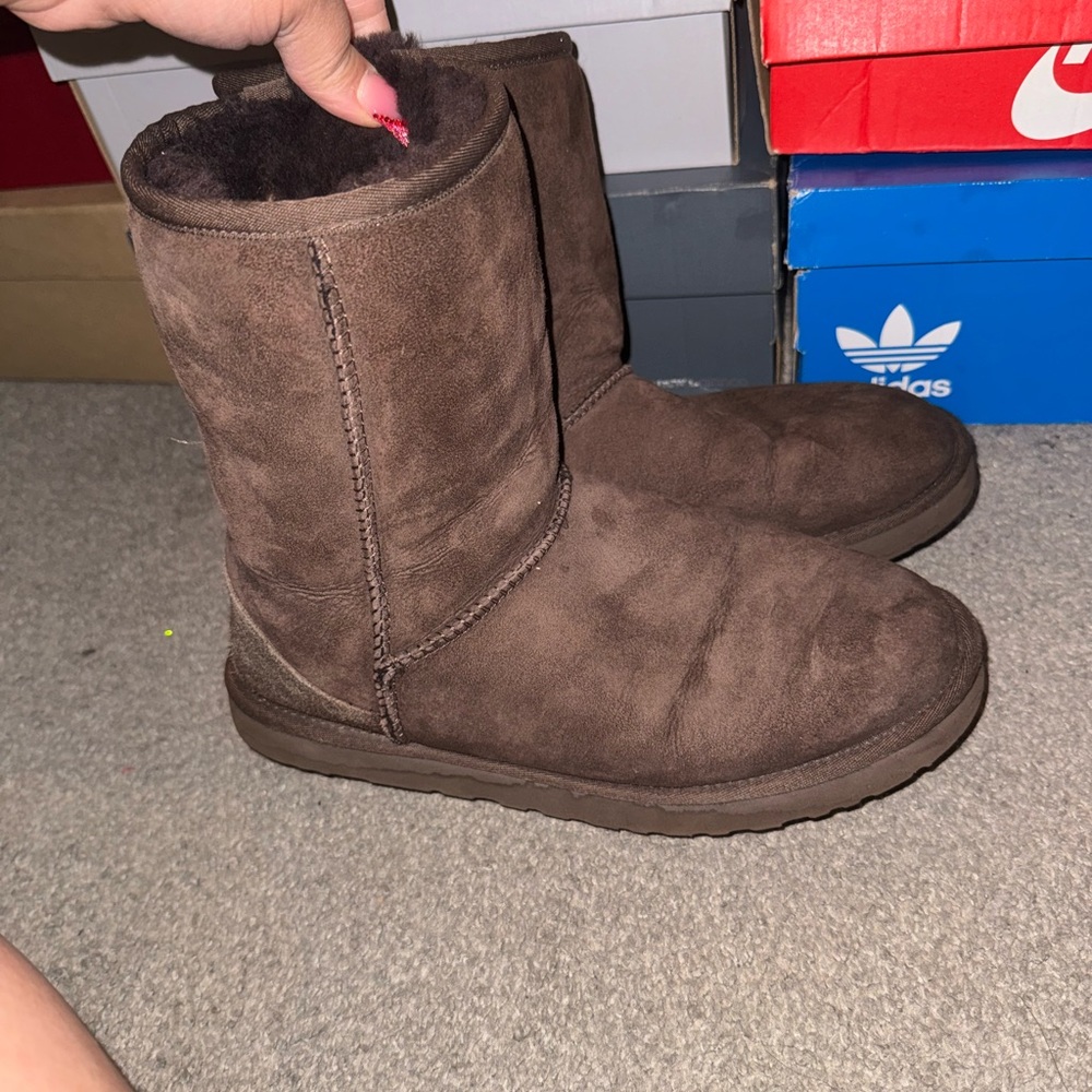 Dark Brown Uggs